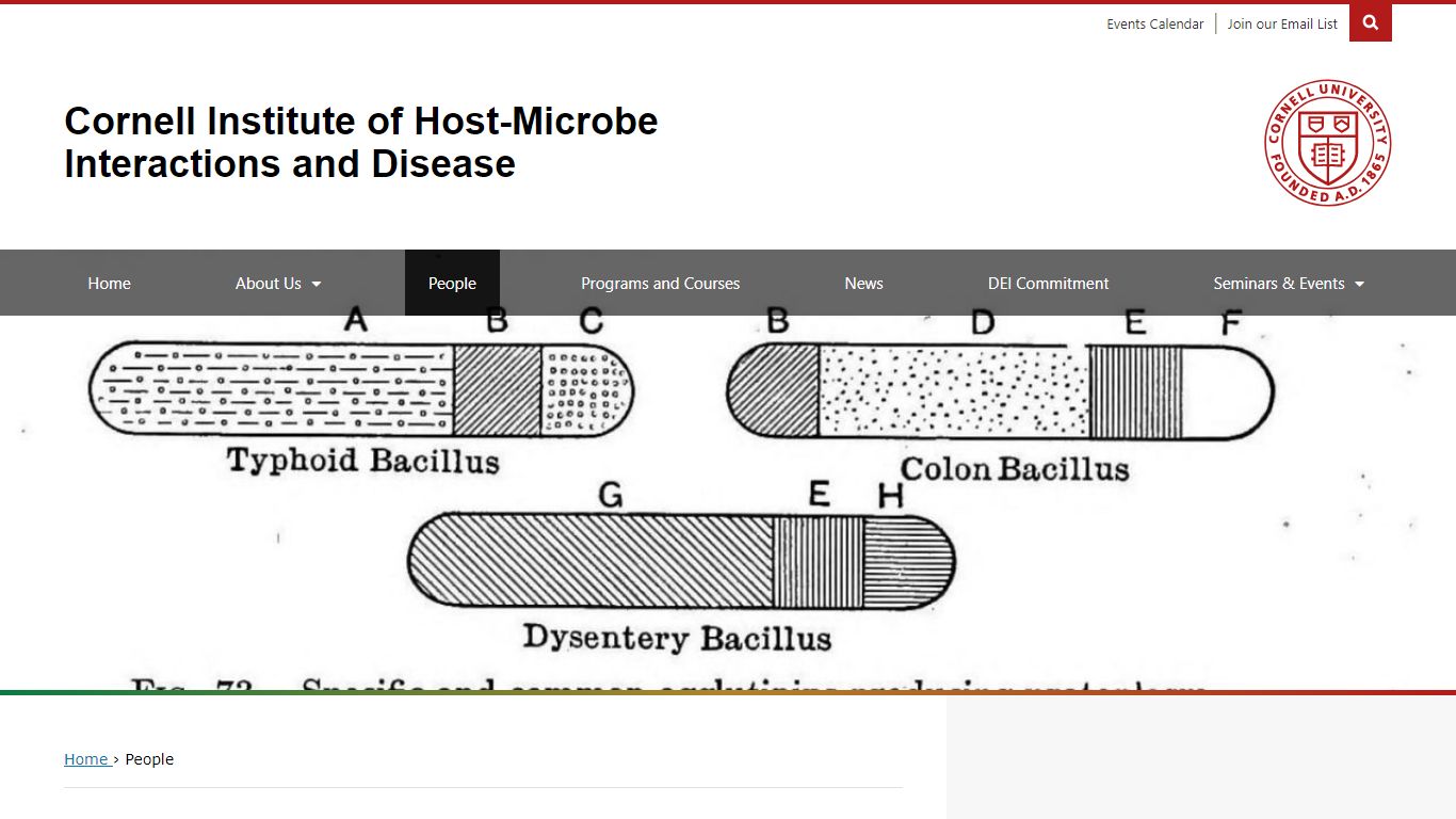 People | Cornell Institute of Host-Microbe Interactions ...